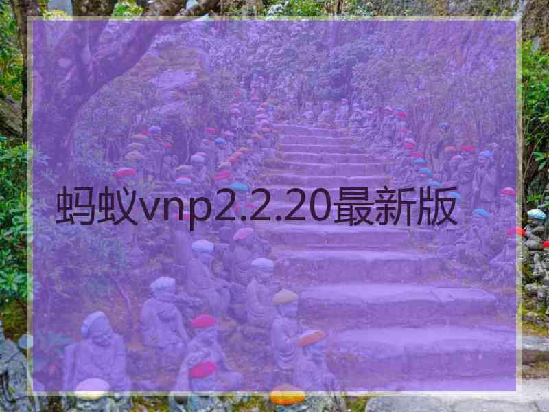 蚂蚁vnp2.2.20最新版