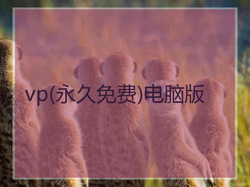 vp(永久免费)电脑版