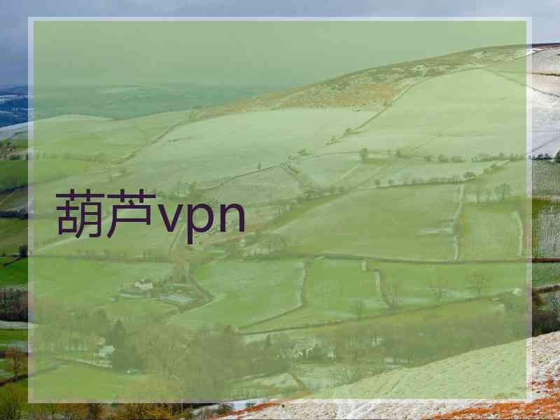 葫芦vpn