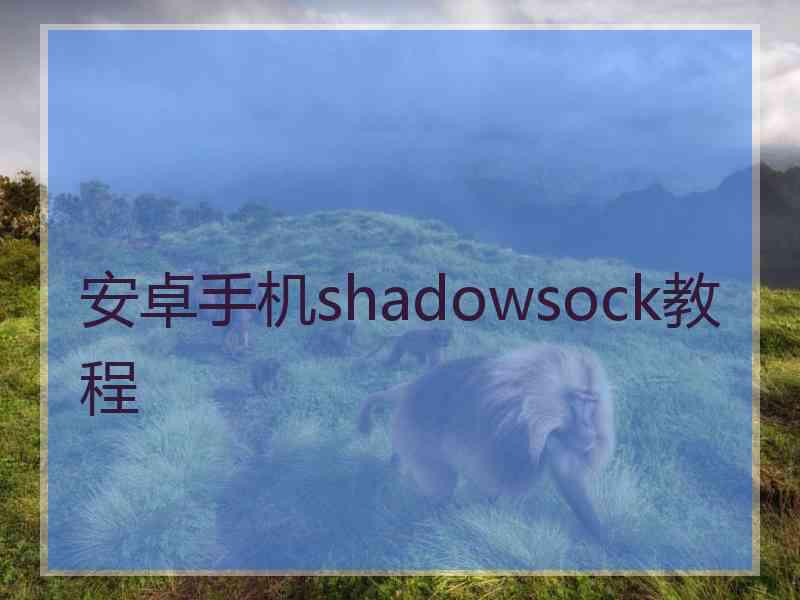 安卓手机shadowsock教程