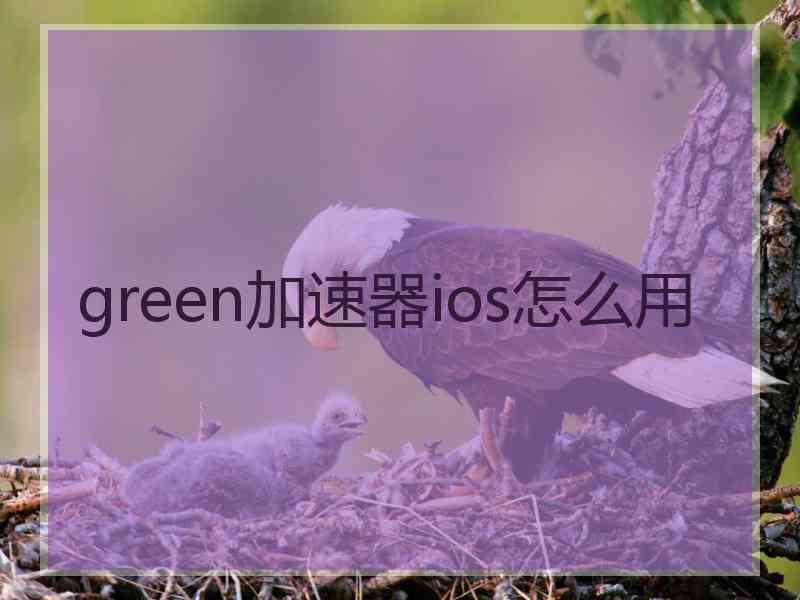 green加速器ios怎么用