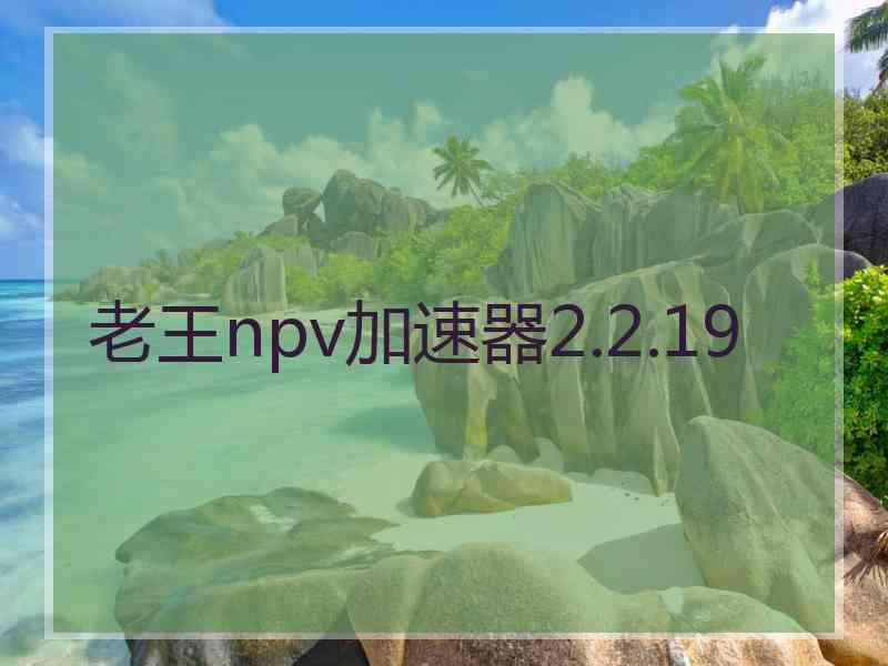 老王npv加速器2.2.19