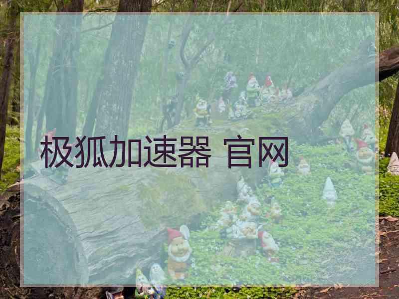 极狐加速器 官网